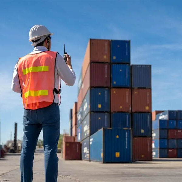 اختیارات قانونی ترخیص کار اختیارات قانونی ترخیص کار